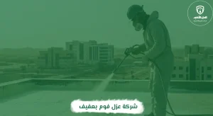 شركة عزل فوم بعفيف